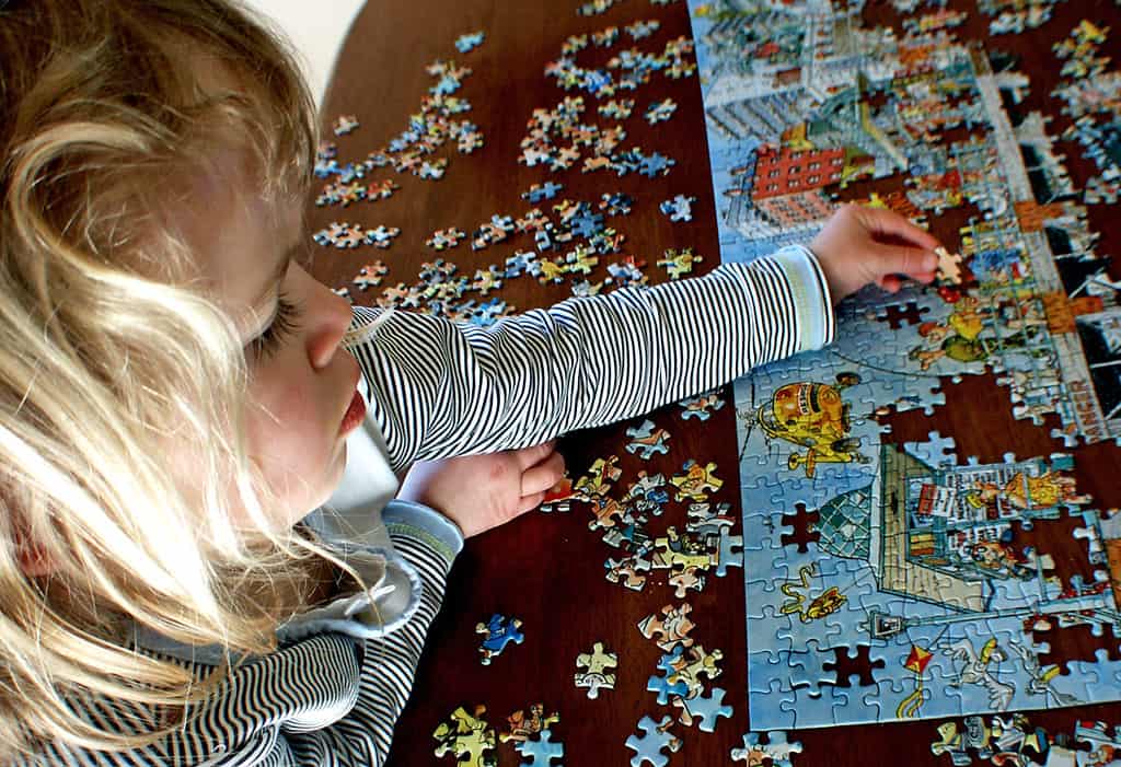 Large 30-piece puzzle pieces work good with small hands.